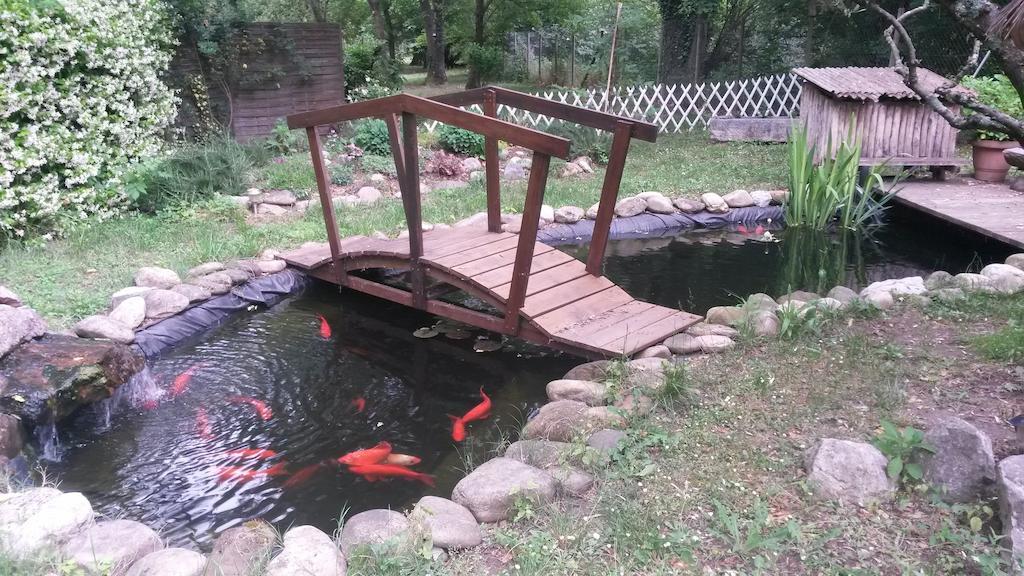 Camping Le Fief D'anduze 3* Anduze