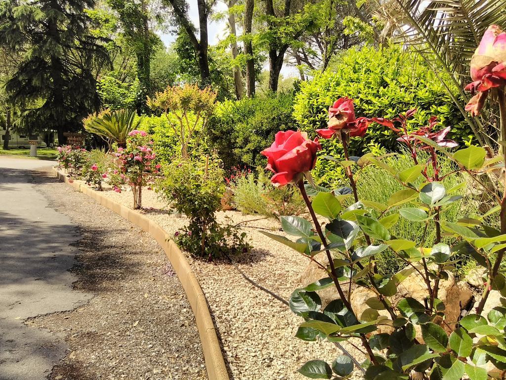 Camping Le Fief D'anduze